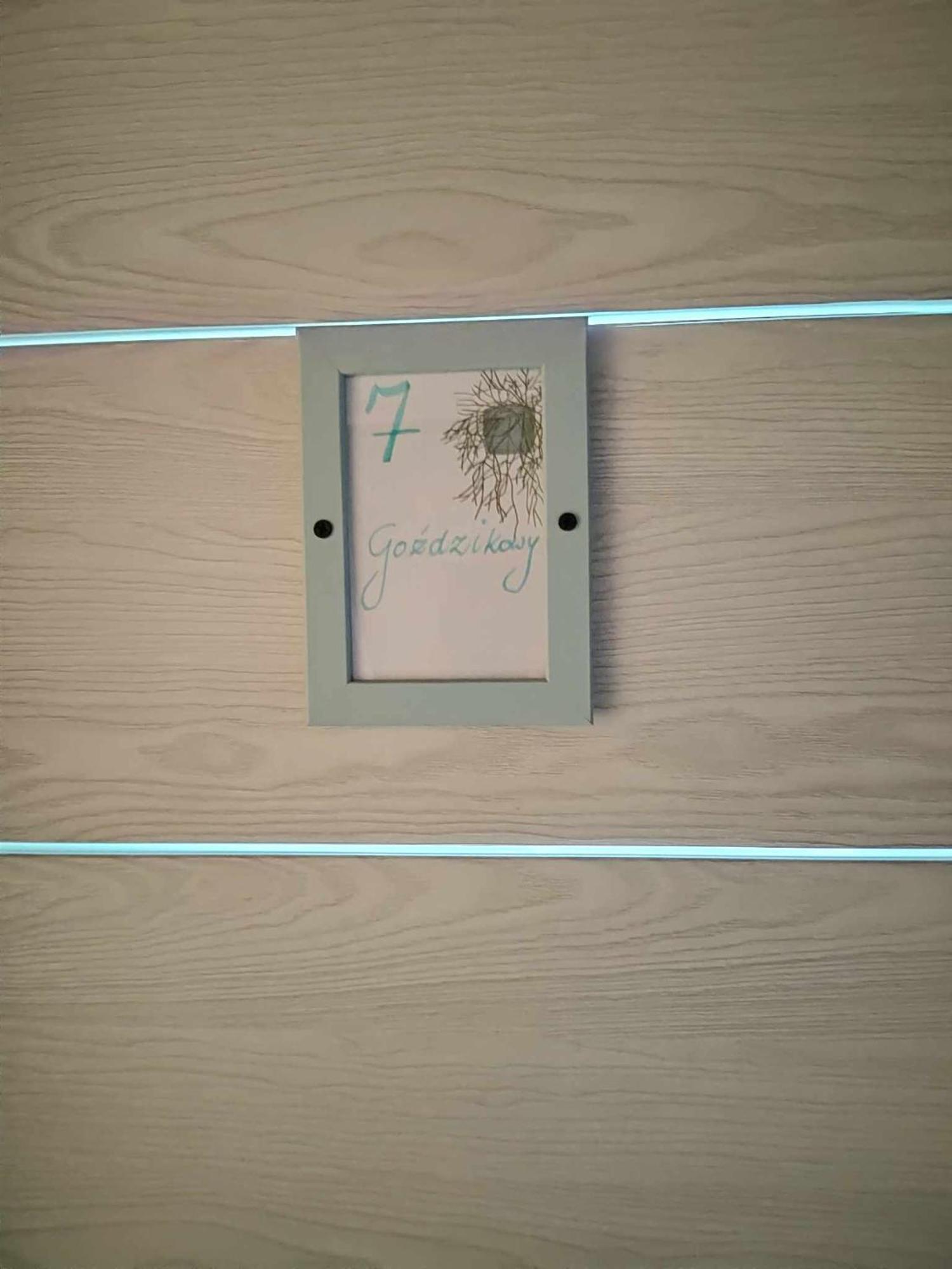 Zielono Mi * Karwienskie Bloto Drugie